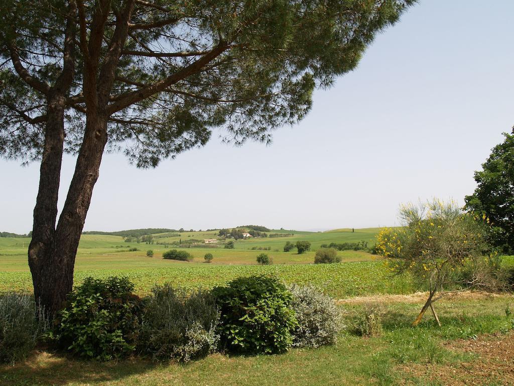 マリアーノ・イン・トスカーナ Agriturismo Poggio Sassineriヴィラ エクステリア 写真